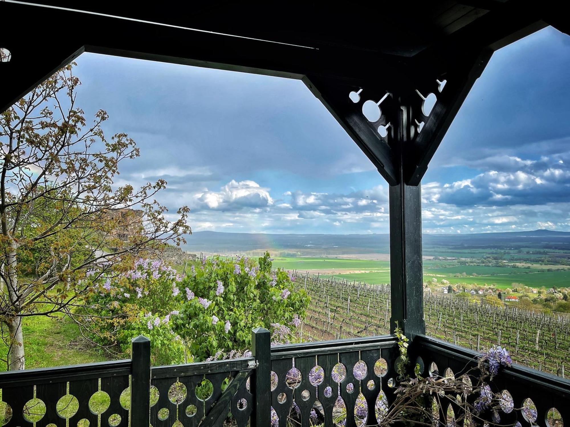 Somlo Wineshop Country house *